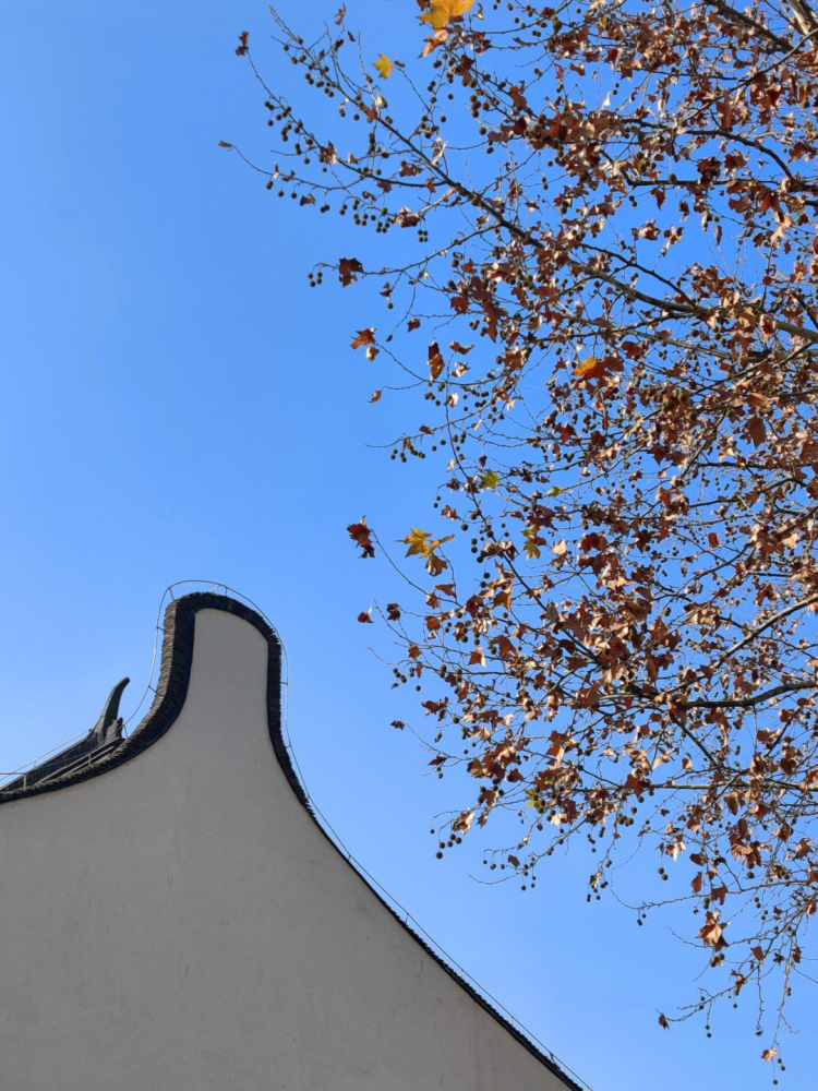 巴洛克式观音兜也称带肩观音兜,即在原观音兜山墙中间削成一半圆,然后