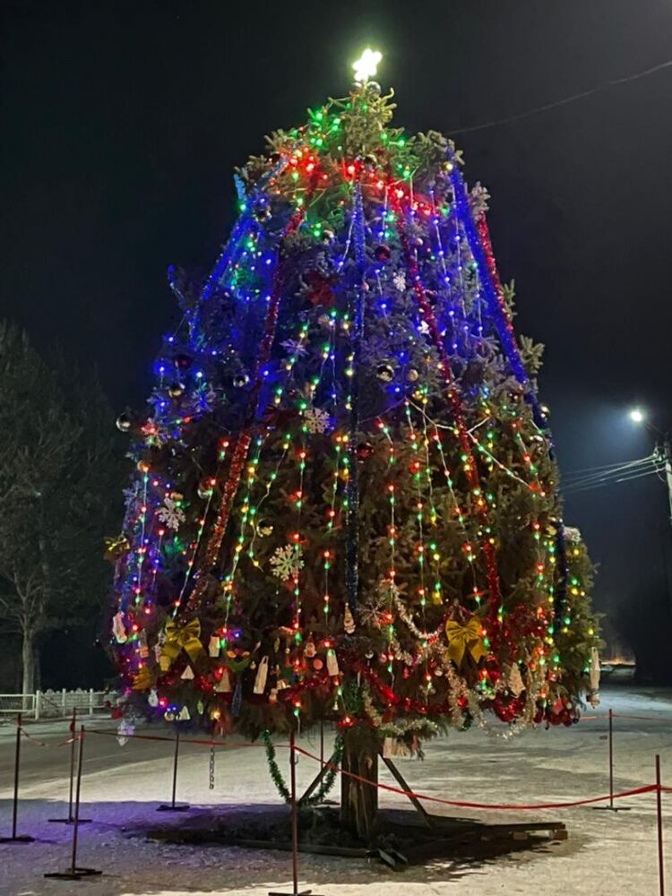 一起去看吉尔吉斯斯坦各地新年枞树_腾讯新闻