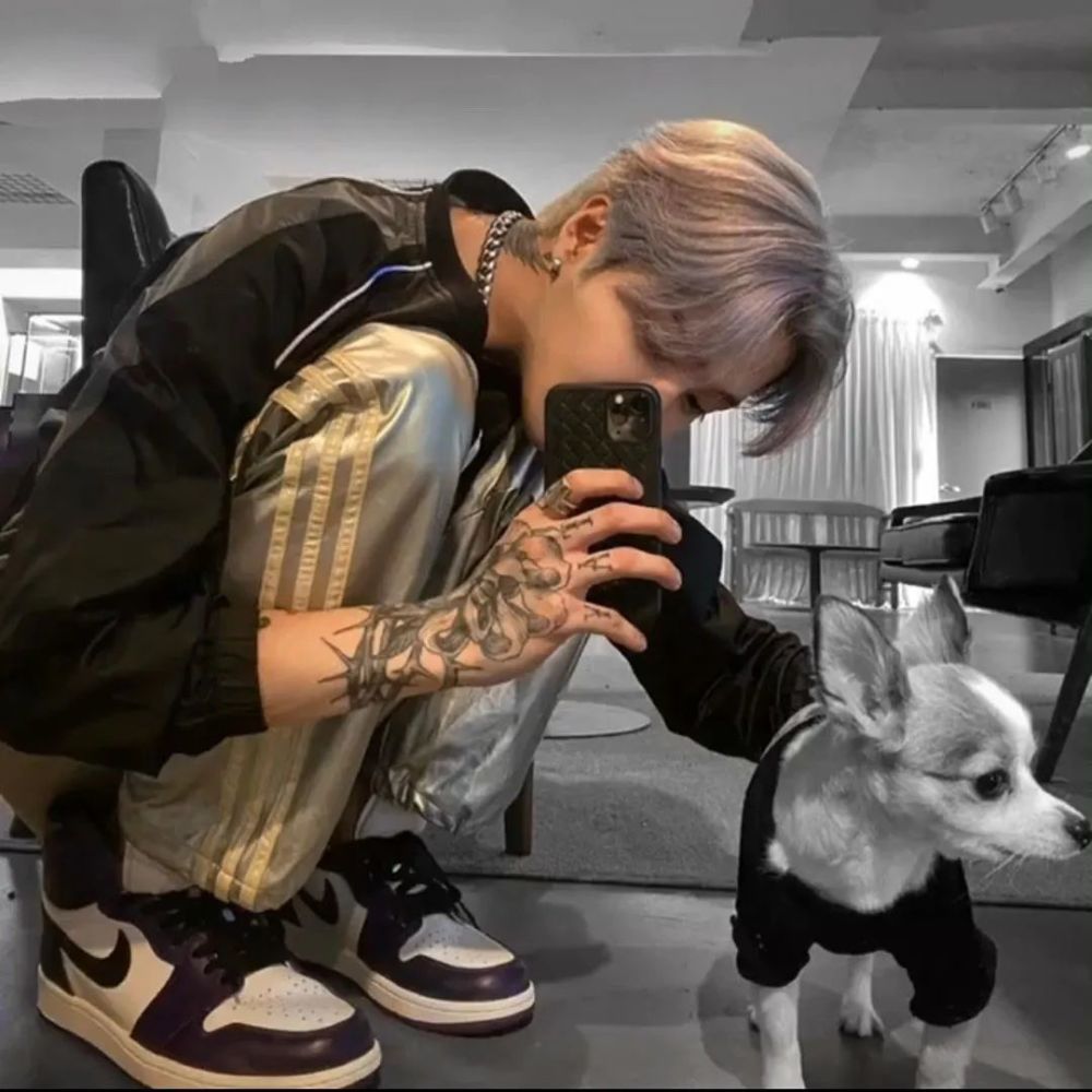 高质量男头总要热爱点什么