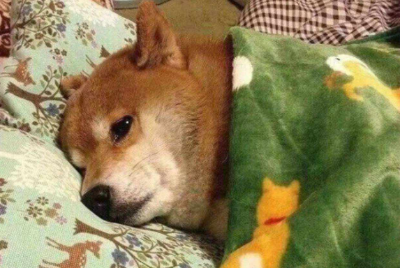 平安夜一只单身狗蜷缩在街角里幻想着女神划着火柴冻死了