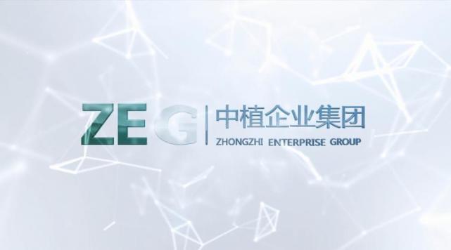 場和水泥廠等國營企業,隨後更是在1995年的時候正式創辦了中植集團