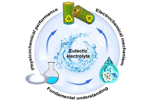 武汉理工大学麦立强教授acsenergyletters用于先进金属离子电池的共晶
