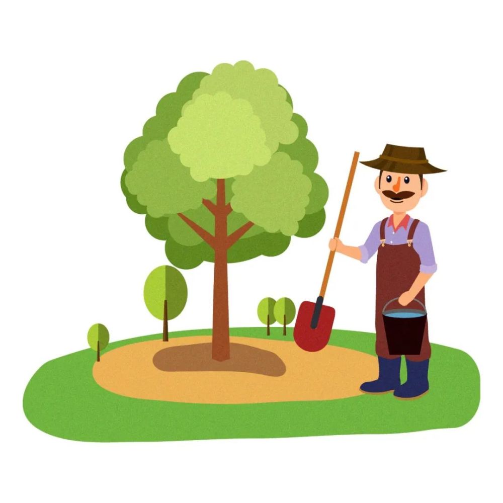 爷爷一生爱栽树