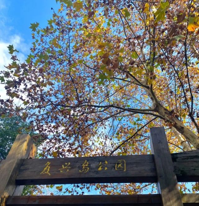 上海复兴岛公园,走进白庐,揭开复兴岛的陈年往事