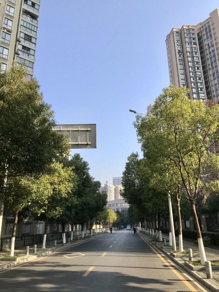 的8条道路,如阳新路(拦江路—腰路堤),腰路堤路(拦江路—晴川大道),高