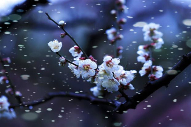 轻盈细雪古诗五首:细雪下帘隙,雪气细吹灯