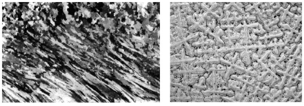 元素烧损:al,ti等活泼元素烧损,宏观偏析,出现"点偏"成分偏析:枝晶