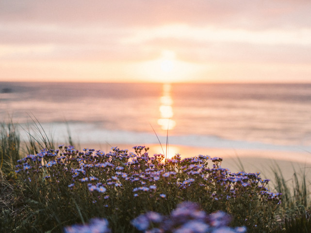 内心澄明始见风景之美
