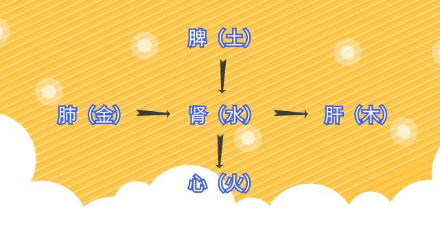 慢性腎炎出現水腫高血壓貧血失眠和肺脾心肝功能失調有關