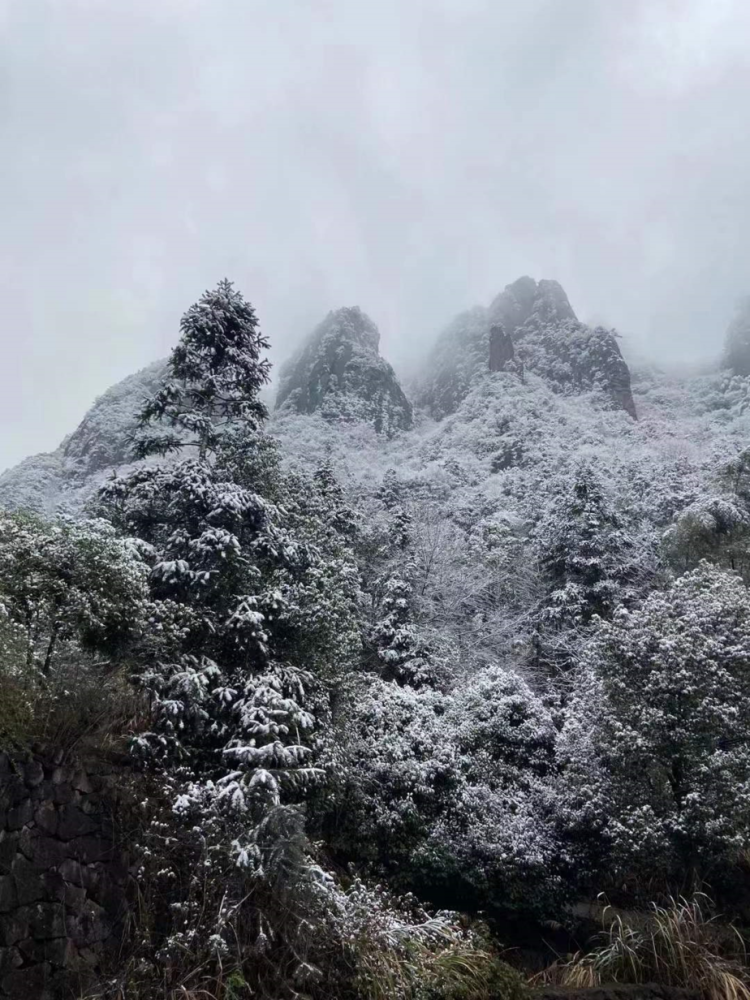 浦江美女峰雪景图片