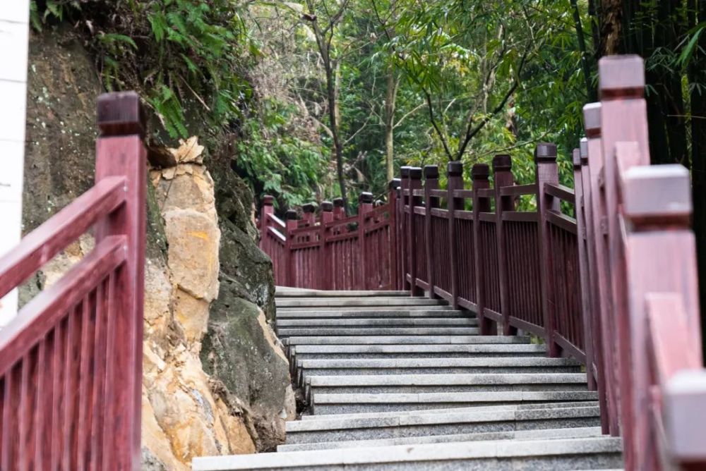 大变样璧山金剑山森林步道全新亮相你去爬了没