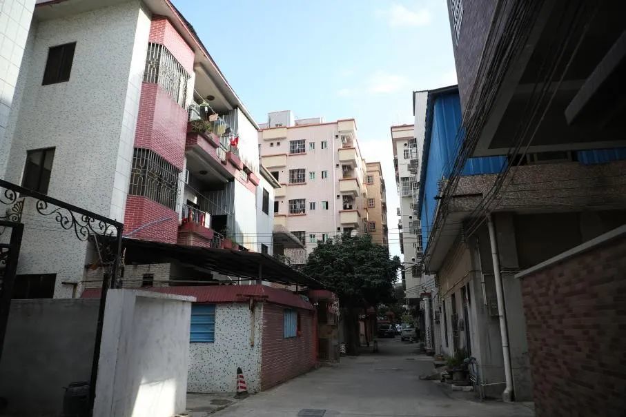 广州南沙大涌村粤港澳走廊里有星河未来