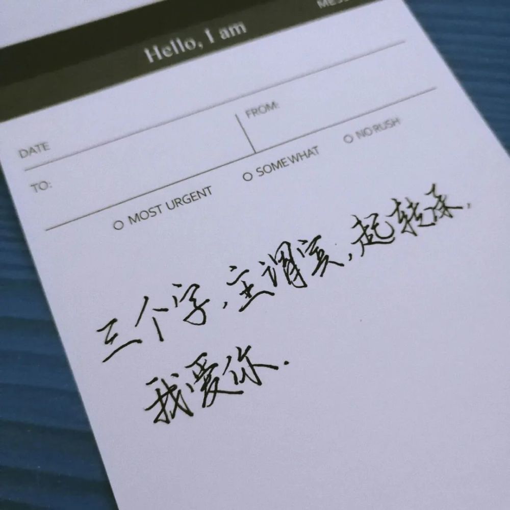 手写官宣文案丨那就在一起晨昏与四季