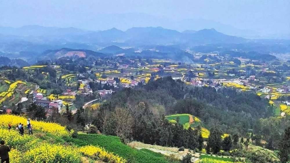省份gdp_2021年全国gdp省份排名前10全国各省份GDP排名2021