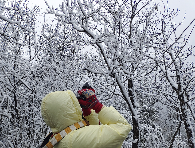 浦江美女峰雪景图片