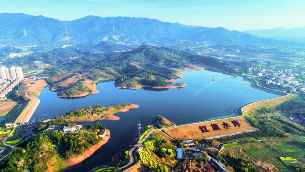 老婆饼里没老婆金华火腿真的是腿