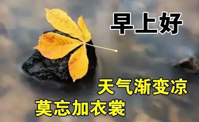 唯美又漂亮的早上好圖片最暖心的早安問候語動態表情圖片