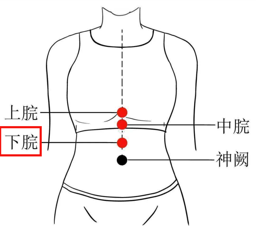 下脘穴主治病症:小儿疳积,腹泻,蛔虫病;百日咳,气喘,咳嗽.