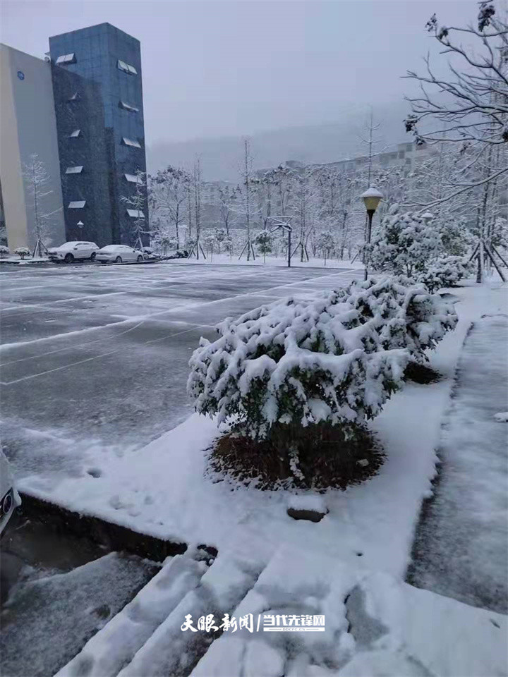 下雪啦下雪啦贵州各地雪景实拍图太美