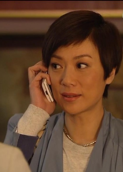 出演了《陀枪师姐2》《封神榜》《使徒行者》《法证先锋》等诸多经典