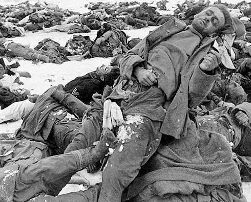 领袖的脸面和士兵的鲜血二战最残酷之战