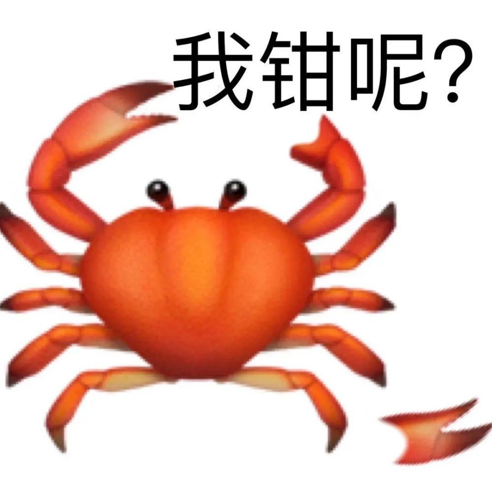 表情包我钳呢