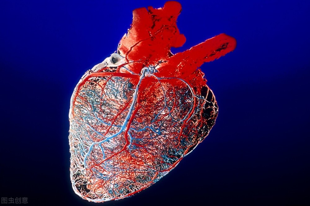 动脉血管虽然是两头通,但不是一般粗细,有出口的水管子.