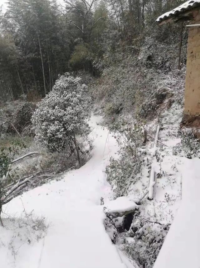 湖南衡阳下雪图片