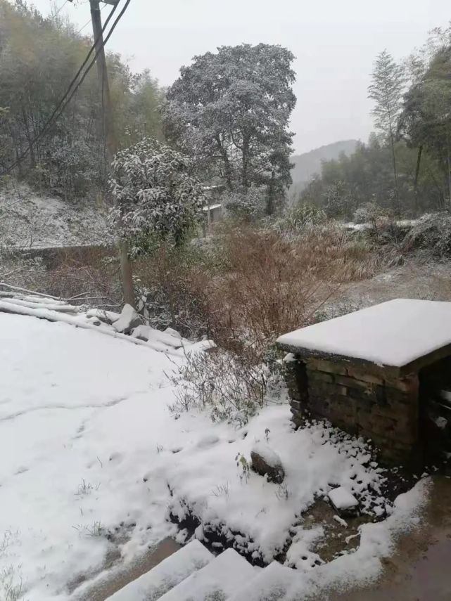 祁阳下雪图片