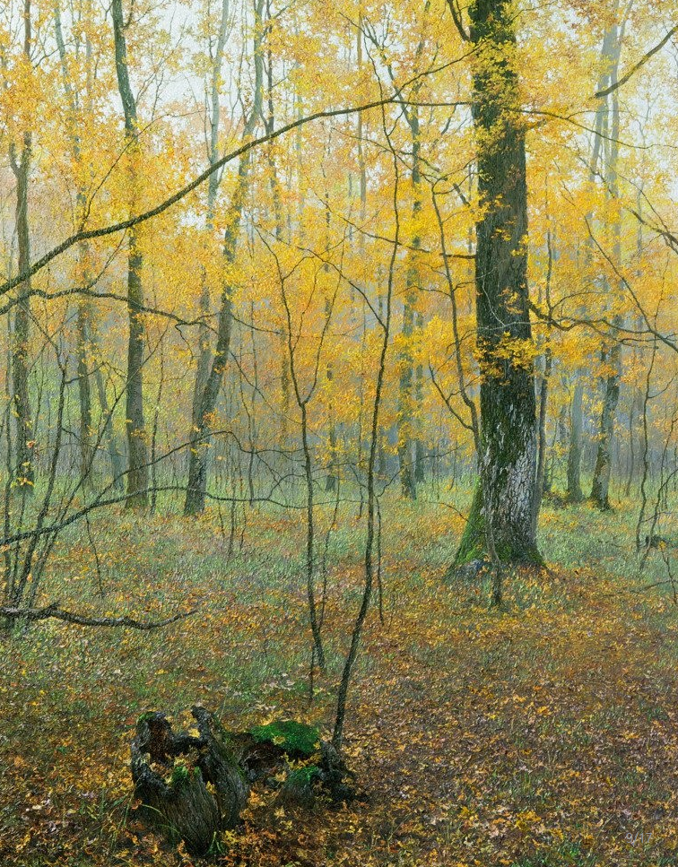 尤里克拉普yuriklapouh