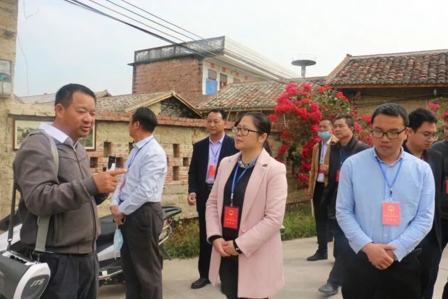 考察團一行首先來到北流市新圩鎮河村,在新圩鎮相關領導及村支書的