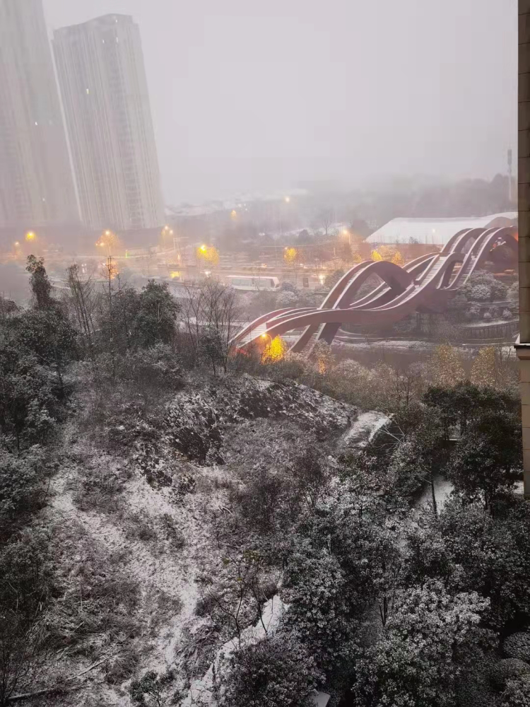 天气丨长沙下雪啦!快出来玩雪喽!