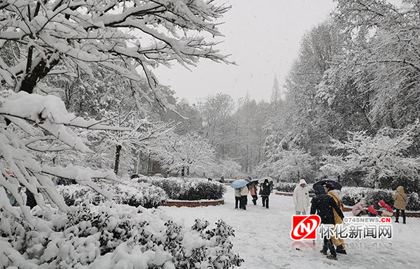 瑞雪兆丰年怀化迎来今年首场雪