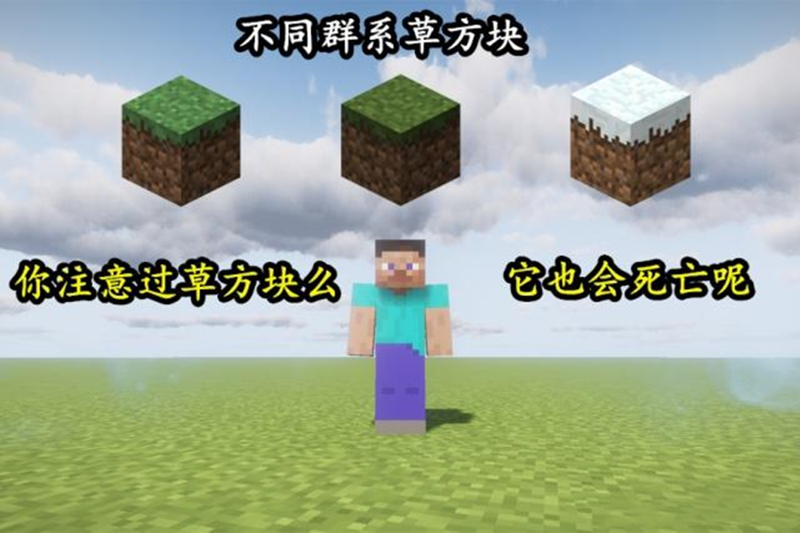 我的世界 会死的草方块 无限的mc 这些特性是真是假 天天看点