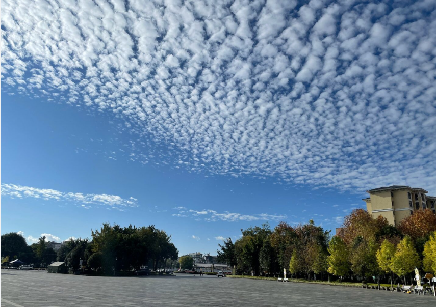 云南腾冲现惊艳棉花云似道道鱼鳞横贯天际