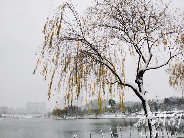 随笔木鱼湖观雪