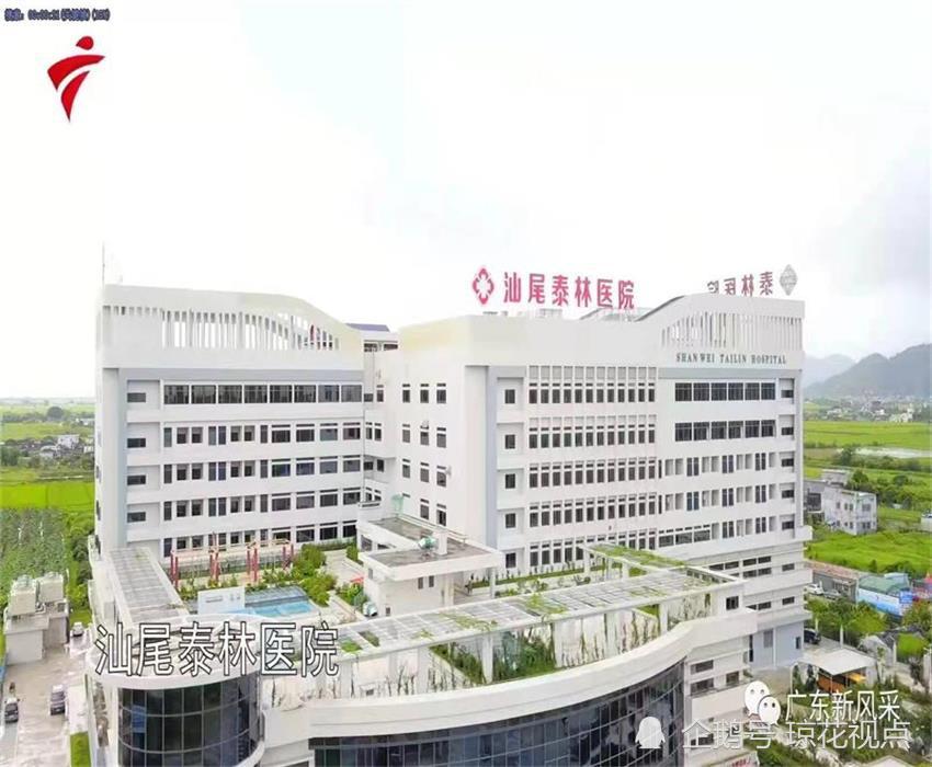 实业有限公司董事长叶国平先生,以及其旗下的民营企业"汕尾泰林医院"