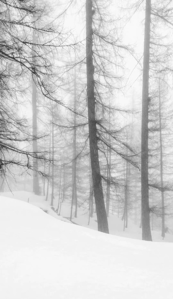 壁纸 冬天下雪风景壁纸 腾讯新闻