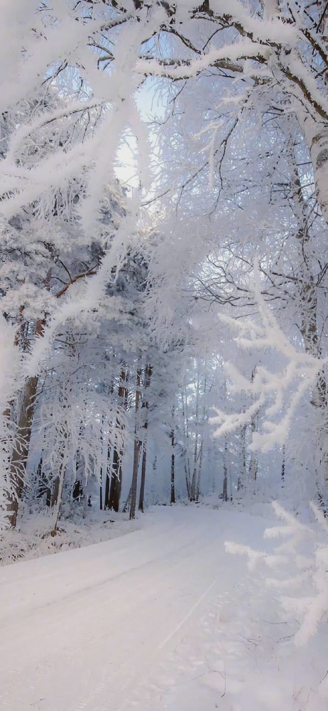 壁纸 冬天下雪风景壁纸 腾讯新闻