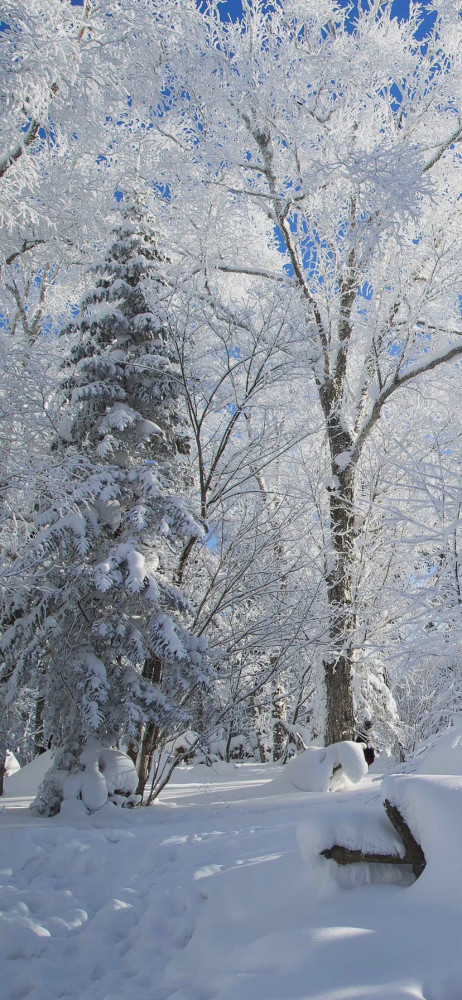 壁纸 冬天下雪风景壁纸 腾讯新闻
