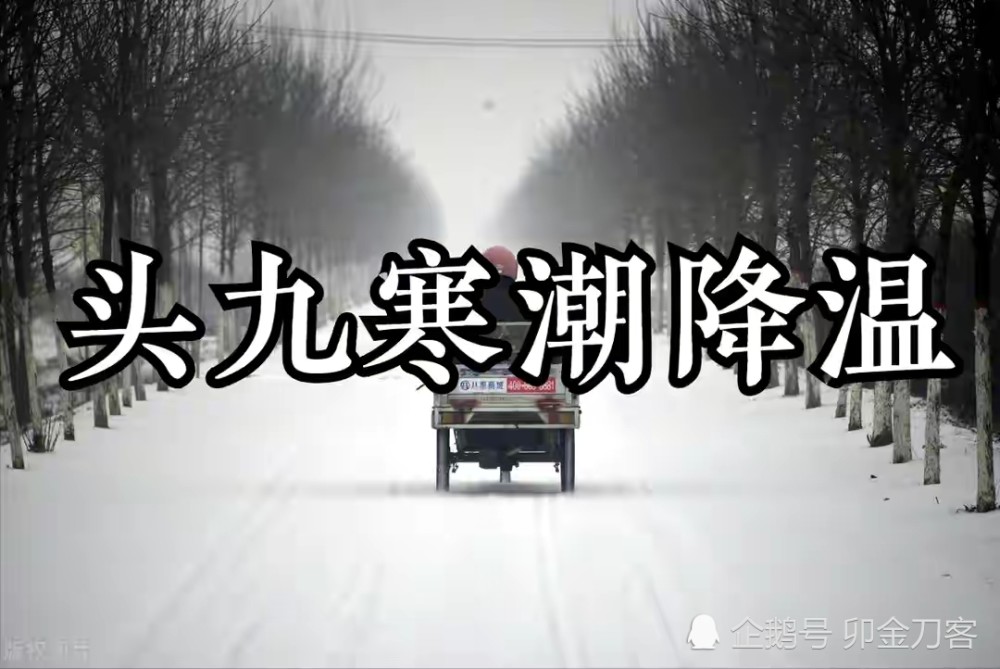 民间关于入九的说法特别是头九的谚语影响较高