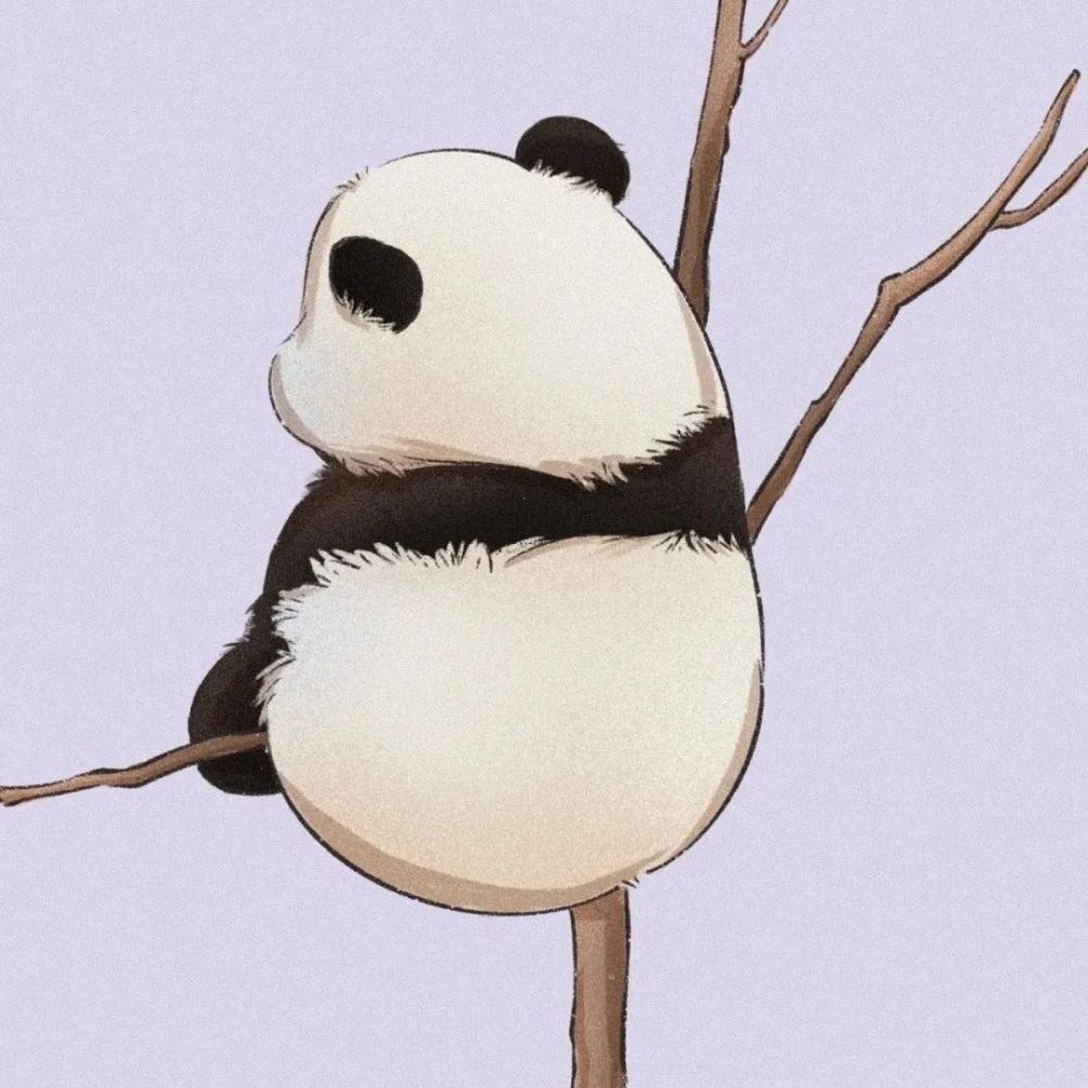 可爱熊猫头像壁纸