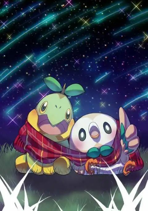 图集一组木木枭的唯美图集