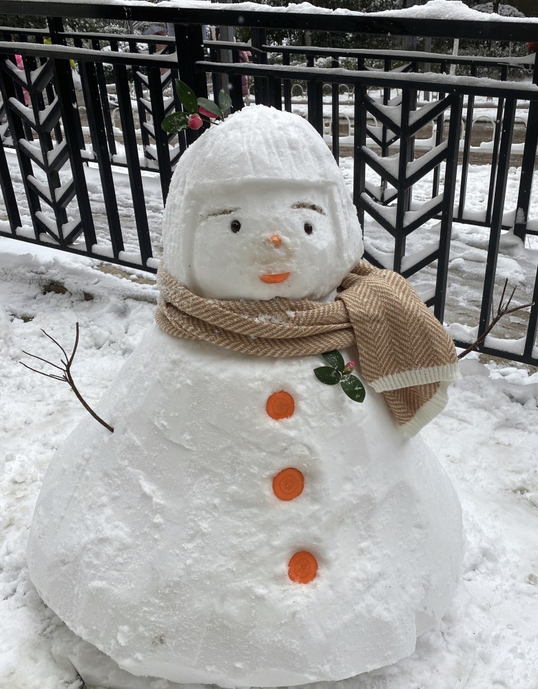 你堆的雪人怎么那么丑高手说堆雪人的诀窍是随便堆