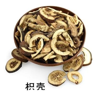 枳壳理气宽中行滞消胀属理气药