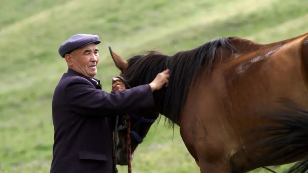 鳳凰大視野征程三千軍馬的萬里馳援敬請收看