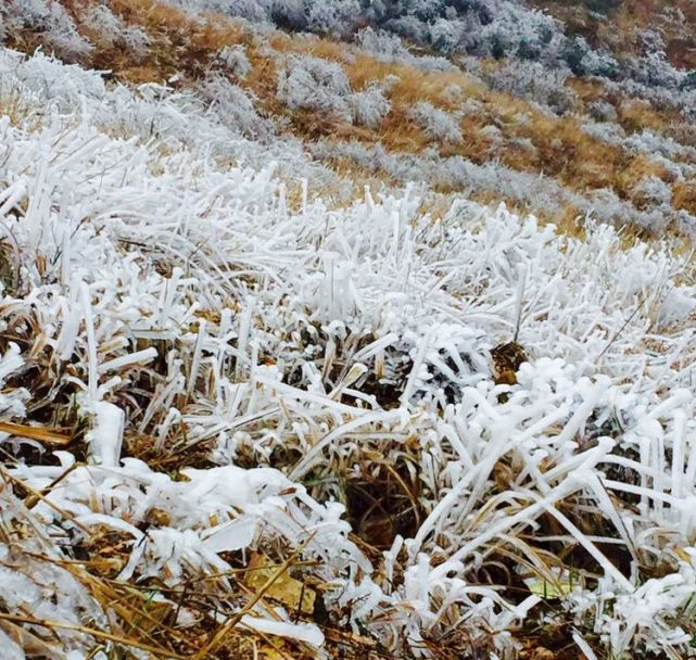 下雪了!原来广西的雪景也能如水墨画般梦幻美丽