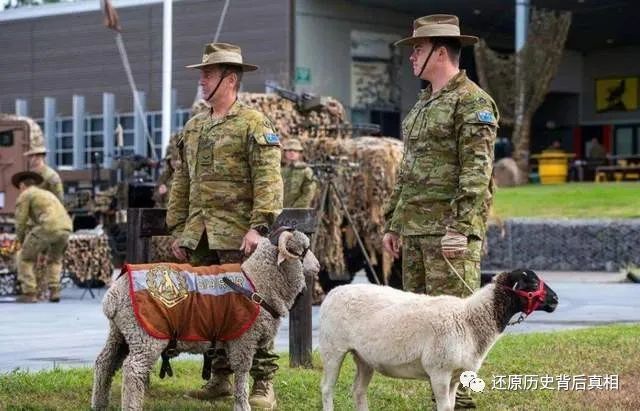 澳大利亚有多少军队呢