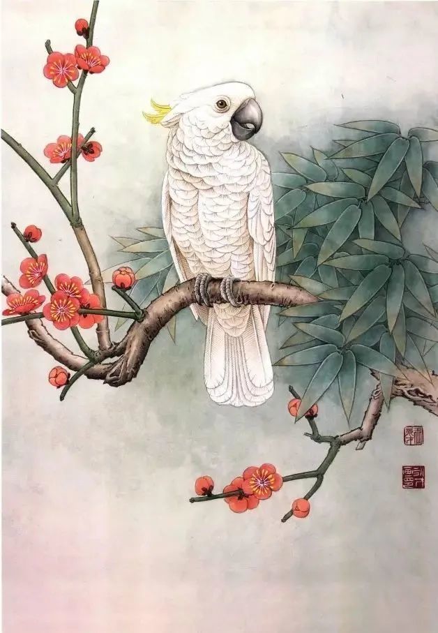 书画联盟丨 工笔画禽鸟《白鸽《葵花鹦鹉《金丝雀《黄鹂》着染