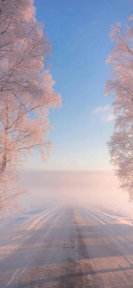 1226壁紙好看的雪景壁紙